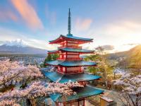 जपानला ६४ लाख कामगारांची गरज, पदवी मिळताच करू शकता नोकरी! कोणत्या क्षेत्रात किती जागा? जाणून घ्या - Marathi News | Japan needs 6.4 million workers, you can get a job as soon as you get a degree! How many vacancies in which field? Find out | Latest international Photos at Lokmat.com