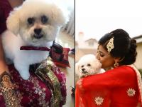 हातावरील मेहंदीवर नवऱ्याच्याऐवजी काढलं लाडक्या कुत्र्याचं चित्र - Marathi News | bride go her pet dogs face etched her mehndi | Latest jarahatke Photos at Lokmat.com