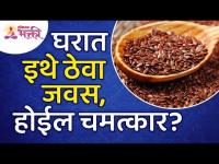 जवस घरात कुठे ठेवल्याने चमत्कार होईल? Health benefits of linseeds | Vastushastra Tips For Javas