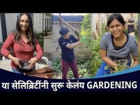 या सेलिब्रिटींनी सुरू केलंय Gardening | Suvrat Joshi, Ashwini Bhave,Mrunmayee Deshpande Gardening