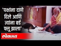 पक्षांना दाणे दिले आणि त्यांना Bird Flu झाला | I P Singh On Pm Modi | India News