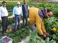 मानलं गड्या! पार्ट टाईम जॉब म्हणून मास्तरानं सुरू केली शेती अन् आता घेतोय १ कोटींची कमाई - Marathi News | Inspiraional Stories : Meet the teacher who is earning crores by farming | Latest jarahatke Photos at Lokmat.com