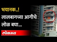 लालबागच्या वन अविघ्न पार्कमध्ये भीषण आग | Massive fire breaks out at Avighna Park apartment Mumbai