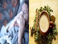 CoronaVirus : कोरोना विषाणूंवर उपचारांसाठी HIV च्या औषधापेक्षा प्रभावी ठरेल चहा; तज्ज्ञांचा खुलासा - Marathi News | Himachal pradesh expert claims kangra tea boost immunity against coronavirus myb | Latest health Photos at Lokmat.com