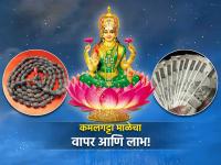 Astrology Tips: लक्ष्मी मातेला प्रिय असलेली कमलगट्टा माळ वापरल्याने होणारे लाभ जाणून घ्या! - Marathi News | Astrology Tips: Know the benefits of using Kamalgatta Mala, loved by Goddess Lakshmi! | Latest bhakti Photos at Lokmat.com