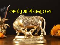 Vastu Tips: घरात कामधेनूची मूर्ती म्हणजे लक्ष्मीचा वास; तुमच्याकडे आहे का? फॉलो करा  'या' वास्तु टिप्स - Marathi News | Vastu Tips: Kamdhenu idol in the house is the fragrance of Lakshmi; Do you have it? Follow these Vastu tips | Latest bhakti News at Lokmat.com