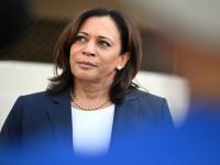 US Election 2020 : निवडणूक अमेरिकेची, पण पनीर टिक्का ट्रेंडमध्ये; भारतीय महिला नेत्याचे झाले हसू - Marathi News | Election of America, but in the Paneer Tikka trend; Indian women leader trolled | Latest international Photos at Lokmat.com