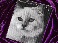 अग्गो बया... 'ही' मांजर होणार २०० मिलियन डॉलर्सची मालकीण? - Marathi News | Karl Lagerfield pet cat choupette might become richest cat after his death | Latest jarahatke Photos at Lokmat.com