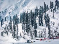 Travel : काश्मीर फिरायला जायचं प्लॅनिंग करताय? मग 'या' ५ चुका टाळा, नाहीतर खिशाला लागेल कात्री! - Marathi News | Travel: Planning to visit Kashmir? Then avoid these 5 mistakes, otherwise you will have to pay a heavy price! | Latest travel Photos at Lokmat.com