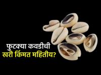 Jara Hatke: फुटक्या कवडीची खरी किंमत माहितीय? प्राचीन चलनव्यवस्थेशी आहे थेट संबंध - Marathi News | Jara Hatke: Do you know the real value of a broken kavadi? It has a direct connection with the ancient monetary system | Latest jarahatke News at Lokmat.com Jara Hatke: फुटक्या कवडीची खरी किंमत माहितीय? प्राचीन चलनव्यवस्थेशी आहे थेट संबंध - Marathi News | Jara Hatke: Do you know the real value of a broken kavadi? It has a direct connection with the ancient monetary system | Latest jarahatke News at Lokmat.com