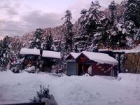 हिमाचल प्रदेशमध्ये जोरदार बर्फवृष्टी; पाहा विहंगम दृश्य - Marathi News | Heavy snowfall in Himachal Pradesh; See the panoramic view | Latest national Photos at Lokmat.com