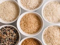 रोजच्या भात खिचडीसाठी कोणता तांदूळ वापरणं योग्य? बासमती-पुलावासाठी काय वापराल-पाहा तांदळाचे प्रकार - Marathi News | Which type of rice you use? see what you should use for biryani and what for khichdi, kitchen tips | Latest sakhi Photos at Lokmat.com