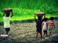 कसे शिकायचे? १६५० खेड्यांत प्राथमिक शाळाच नाही! शिक्षण हक्क कायद्याच्या अंमलबजावणीत त्रुटी - Marathi News | How to learn there are no primary schools in 1650 villages errors in implementation of Right to Education Act | Latest maharashtra News at Lokmat.com