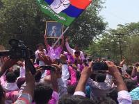 कणकवलीत महाराष्ट्र स्वाभिमान पक्षाच्या विजयाचा जल्लोष - Marathi News | Maharashtra Swabhiman Party's victory in Kankavali | Latest sindhudurga Photos at Lokmat.com