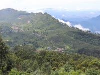 कोडईकनालमधील नैसर्गिक सौंदर्य तुम्हाला इथे जाण्यास भाग पाडेल! - Marathi News | 10 places to visit in kodaikanal Tamilnadu | Latest travel Photos at Lokmat.com