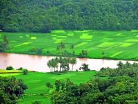 कोकणातलं असं सौंदर्य तुम्ही पाहिलं आहे का ? - Marathi News | Have you seen the beauty of Konkan? | Latest sindhudurga Photos at Lokmat.com