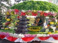कोल्हापूरकर रमले फुलांच्या दुनियेत! - Marathi News | Kolhapurkar ramle flowering world! | Latest maharashtra Photos at Lokmat.com