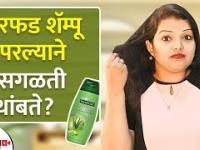 घरच्या घरी Aloe Vera Shampoo कसा बनवायचा | How to make Aloe Vera Shampoo at Home | Lokmat Sakhi