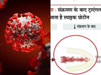 गुडन्यूज : कोरोनाचा 'आकार' बदलतोय, शास्त्रज्ञांना होईल मदत - Marathi News | Changing the size of the corona, disease covid 19 shapes structure new report | Latest international Photos at Lokmat.com