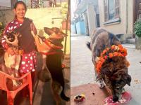 म्हणून नेपाळमध्ये केली जाते कुत्र्यांची पूजा, कारण वाचून व्हाल थक्क! - Marathi News | Festival Of Dogs(kukur): Tihar Festival In Nepal Reasons Why It's Celebrated | Latest jarahatke Photos at Lokmat.com