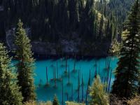 Lake Kaindy ची अजब-गजब दुनिया, तलावाच्या आत उलट्या दिशेने वाढतंय जंगल! - Marathi News | kazakhstan lake kaindy where the trees grow upside down | Latest social-viral Photos at Lokmat.com