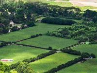 १०% श्रीमंतांच्या ताब्यात ४४% जमीन; ग्रामीण भागात ४६% कुटुंबे भूमिहीन; जमीनदारांचे वर्चस्व - Marathi News | 44% of land owned by 10% of the rich; 46% of families in rural areas are landless; landlords continue to dominate | Latest national News at Lokmat.com