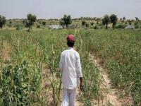 महत्त्वाची बातमी: वहिवाटीचा पर्याय हटला, छोट्या क्षेत्राची मोजणी बंद; भविष्यातील मोजणी सुलभ - Marathi News | Important news With the implementation of e enumeration version 2 by the Land Records Department the enumeration work across the state is 100 percent online | Latest maharashtra Photos at Lokmat.com