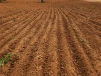 प्रीमियम शुल्क रद्द, मोफत नियमितीकरण प्रस्तावित; नवीन विधेयक सादर : आता अनियमित व्यवहार नियमित - Marathi News | Premium fee abolished, free regularization proposed | Latest nagpur News at Lokmat.com प्रीमियम शुल्क रद्द, मोफत नियमितीकरण प्रस्तावित; नवीन विधेयक सादर : आता अनियमित व्यवहार नियमित - Marathi News | Premium fee abolished, free regularization proposed | Latest nagpur News at Lokmat.com