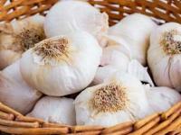 स्वयंपाकघरात 'असा' साठवा लसूण, महिनोंमहिने होणार नाही खराब, बुरशीचंही नो टेन्शन, काळाही पडणार नाही - Marathi News | How to store garlic for months without rotting Preventing garlic from sprouting and mold Best way to store peeled garlic cloves Garlic storage hacks for Indian kitchens | Latest sakhi Photos at Lokmat.com