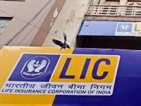 LIC Shares Big Update: आनंदवार्ता! एलआयसीत पैसे बुडालेत? शेअर वाढणार, ब्रोकरेज फर्म्सकडून खरेदीचे रेटिंग - Marathi News | Good news! lost Money with LIC? Shares will rise, buying ratings from brokerage firms | Latest business Photos at Lokmat.com
