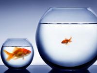 एका महिन्यात स्वतःमध्ये बदल घडवायचाय?... या गोष्टी करून पाहाच! - Marathi News | do you want to make changes in yourself, try these simple things | Latest lifeline Photos at Lokmat.com