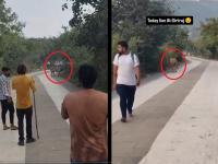 Video: शत्रुंजय टेकडीवर जंगलाच्या 'राजा'चा मुक्त वावर; सिंह दिसताच पर्यटक घाबरुन पळाले... - Marathi News | Video: The 'king' of the jungle roams freely on Shatrunjay Hill; fear among tourists and devotee | Latest social-viral News at Lokmat.com Video: शत्रुंजय टेकडीवर जंगलाच्या 'राजा'चा मुक्त वावर; सिंह दिसताच पर्यटक घाबरुन पळाले... - Marathi News | Video: The 'king' of the jungle roams freely on Shatrunjay Hill; fear among tourists and devotee | Latest social-viral News at Lokmat.com