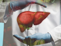 मुंबईत यकृत प्रत्यारोपणासाठी ८३७ रुग्ण वेटिंगवर, अवयवदानाबाबत पुन्हा जागरुकतेची आवश्यकता - Marathi News | 837 patients waiting for liver transplant in Mumbai, need to raise awareness about organ donation | Latest mumbai News at Lokmat.com