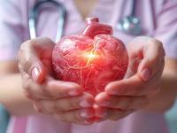 'या' योजनेद्वारे होणार ऑर्गन ट्रान्सप्लांट; खर्च सरकार उचलणार, वर्षाला पाच लाखांचे सुरक्षा कवच - Marathi News | Organ transplants will be done through this scheme; Government will bear the cost, security cover of Rs 5 lakhs per year | Latest maharashtra Photos at Lokmat.com