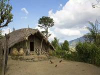 भारताच्या सीमेवरील ‘हे’ गाव भन्नाट; खायचं एका देशात अन् झोपायचं दुसऱ्या देशात - Marathi News | Unique Village In India Longwa Village Where People Crosses Borders Without Visa | Latest jarahatke Photos at Lokmat.com