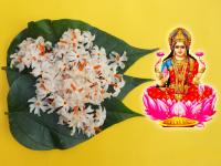 Astrology Tips: लक्ष्मी मातेला प्राजक्ताची फुलं वहा, आर्थिक स्थिती, भाग्य आणि आरोग्य बदलताना बघा! - Marathi News | Astrology Tips: Offer Prajakta flowers to Lakshmi Mata, watch financial status, fortune and health change! | Latest bhakti Photos at Lokmat.com