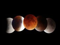 Lunar Eclipse 2021: कार्तिक पौर्णिमेला चंद्रग्रहण: ग्रहणानंतर कोरोना संकट टळेल?; ‘असा’ पडू शकतो देश, जगावर प्रभाव - Marathi News | lunar eclipse november 2021 effect of chandra grahan on india and world on kartik purnima | Latest bhakti Photos at Lokmat.com