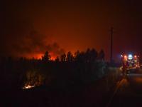 मकाऊमधील जंगलात भीषण आग - Marathi News | Fire in Macau | Latest international Photos at Lokmat.com