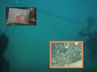 समुद्री चाचे लुटूनही सोबत घेऊन जाऊ शकले नाहीत, एवढा खजिना भारताच्या जहाजावर सापडला; हिरे, सोने, चांदी... - Marathi News | 300 Year Old Shipwreck India to Portugal: So much treasure was found on an Indian ship that the pirates couldn't even take it with them; diamonds, gold, silver... | Latest international News at Lokmat.com समुद्री चाचे लुटूनही सोबत घेऊन जाऊ शकले नाहीत, एवढा खजिना भारताच्या जहाजावर सापडला; हिरे, सोने, चांदी... - Marathi News | 300 Year Old Shipwreck India to Portugal: So much treasure was found on an Indian ship that the pirates couldn't even take it with them; diamonds, gold, silver... | Latest international News at Lokmat.com