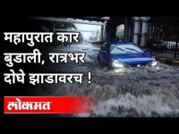 महापुरात कार बुडाली, रात्रभर दोघे झाडावरच! Car Sank In The Flood | Maharashtra News