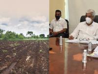 बियाण्यांच्या किंमती वाढवू नका, कृषिमंत्र्यांचे ‘महाबीज’ला आदेश - Marathi News | Don't raise seed prices - Agriculture Minister instructs Mahabeej | Latest mumbai Photos at Lokmat.com