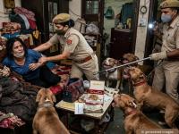 २ किलो सोनं, १५ हिंस्त्र कुत्रे, १५ गोल्ड लोन खाती; अंथरुणात लपलेल्या मोलकरणीचा पर्दाफाश - Marathi News | cunning maid guarded by 15 dangerous dog found hiding under quilt 2 kg gold was found | Latest crime News at Lokmat.com