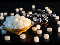 Jara Hatke: पूजेत, धर्मकार्यात वापरला जाणारा पांढरा शुभ्र कापूर कसा तयार करतात माहितीय? - Marathi News | Jara Hatke: Do you know how white camphor, which is used in worship and religious activities, is prepared? | Latest jarahatke News at Lokmat.com Jara Hatke: पूजेत, धर्मकार्यात वापरला जाणारा पांढरा शुभ्र कापूर कसा तयार करतात माहितीय? - Marathi News | Jara Hatke: Do you know how white camphor, which is used in worship and religious activities, is prepared? | Latest jarahatke News at Lokmat.com