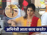 'मुळशी पॅटर्न' मधली 'चहावाली' आठवतेय? आता दिसते फारच सुंदर, ८ वर्षात इतका बदलला अभिनेत्रीचा लूक - Marathi News | mulshi pattern movie fame actress malvika gaekwad now looking more beautiful what is she doing now | Latest filmy Photos at Lokmat.com