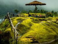 Travel : अवघ्या २५ हजारांत करा 'भारताच्या स्कॉटलँड'ची ट्रिप! बजेट प्लॅनिंगसाठी फॉलो करा 'या' खास टिप्स - Marathi News | Travel: Take a trip to 'Scotland of India' for just Rs 25,000! Follow these special tips for budget planning | Latest travel Photos at Lokmat.com