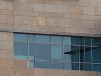 Microsoft Layoffs : एकामागोमाग एक दिग्गज कंपन्या निर्णय घेतायत; मायक्रोसॉफ्ट ६००० कर्मचाऱ्यांना कामावरून काढणार - Marathi News | microsoft layoff 2025 over 6000 employees find out reason behind the job cuts | Latest business Photos at Lokmat.com