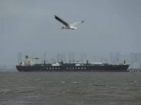 ट्रम्प यांच्या युद्धविरामाच्या घोषणेनंतर काही वेळातच युद्धाची ठिणगी! होर्मुझमध्ये अंदाधुंद फायरिंग - Marathi News | First Trump announced a ceasefire; but within a short time, a war broke out in the Strait of Hormuz; indiscriminate firing on ships | Latest international News at Lokmat.com