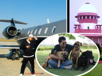 "भटक्या कुत्र्यांसाठी १० एकर जमीन देतो, पण..." लोकप्रिय गायक सर्वोच्च न्यायालयाला विनंती करत म्हणाला... - Marathi News | Mika Singh Ready Donate 10 Acres Of Land For Street Dogs Made Special Appeal To Supreme Court | Latest filmy News at Lokmat.com