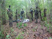 सुरक्षा दलांची मोठी कारवाई; ओडिशातील गुम्मा जंगलात 4 माओवाद्यांचा खात्मा - Marathi News | Major operation by security forces; 4 Maoists killed in Gumma forest in Odisha | Latest national News at Lokmat.com