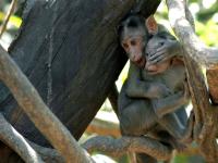 आई एक नाव असतं आई…. - Marathi News | The mother has a name ... | Latest maharashtra Photos at Lokmat.com